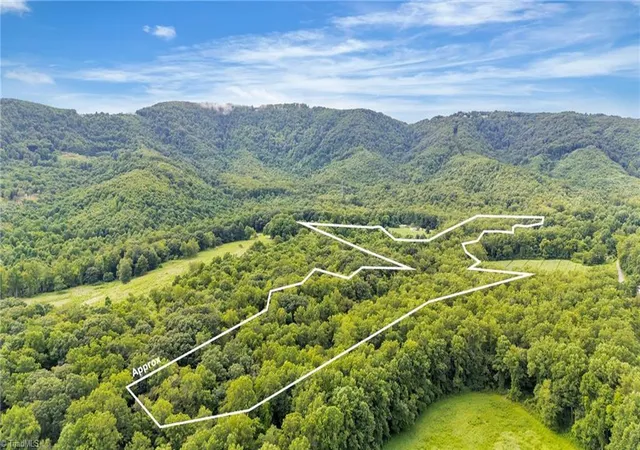 Homes for sale in Thurmond, NC | Tbd N Old Hwy 21, Thurmond, NC 28683 | MLS# 1205146