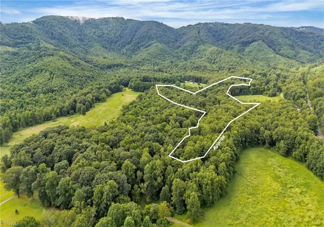 Homes for sale in Thurmond, NC | Tbd N Old Hwy 21, Thurmond, NC 28683 | MLS# 1205146