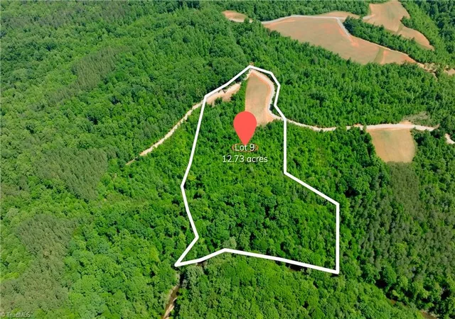 Homes for sale in Pinnacle, NC | 9 Roby Fulk Rd, Pinnacle, NC 27043 | MLS# 1222097