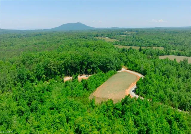 Homes for sale in Pinnacle, NC | 9 Roby Fulk Rd, Pinnacle, NC 27043 | MLS# 1222097