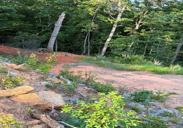 Photo 10 of Land for sale at Lot #9 Widow Mountain Dr, Mc Grady, NC 28649 | MLS# 1230359 | Listing updated on 2026-08-07