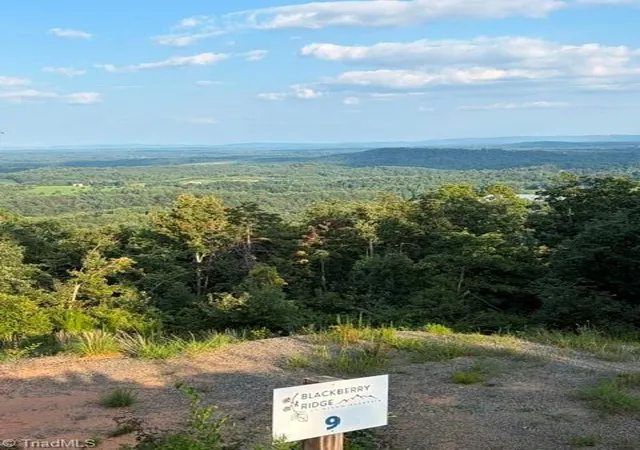 Photo 1 of Land for sale at Lot #9 Widow Mountain Dr, Mc Grady, NC 28649 | MLS# 1230359 | Listing updated on 2026-08-07