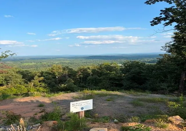 Photo 2 of Land for sale at Lot #9 Widow Mountain Dr, Mc Grady, NC 28649 | MLS# 1230359 | Listing updated on 2026-08-07