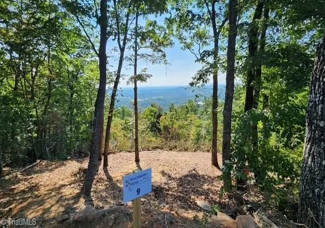 Photo 3 of Land for sale at Lot #9 Widow Mountain Dr, Mc Grady, NC 28649 | MLS# 1230359 | Listing updated on 2026-08-07