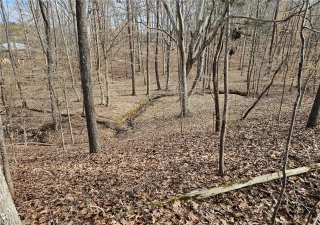 Photo 2 of Land for sale at 280 Clara Hill Ln, Lexington, NC 27292 | MLS# 1233651 | Listing updated on 2026-08-28