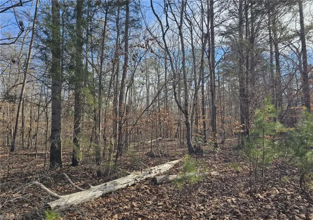 Photo 3 of Land for sale at 280 Clara Hill Ln, Lexington, NC 27292 | MLS# 1233651 | Listing updated on 2026-08-28