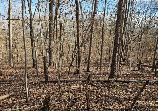 Photo 4 of Land for sale at 280 Clara Hill Ln, Lexington, NC 27292 | MLS# 1233651 | Listing updated on 2026-08-28