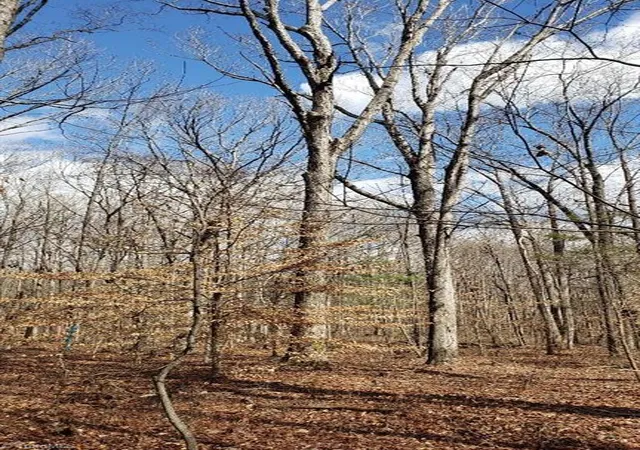 14th image of 861 Calahaln Rd, Mocksville, NC 27028 | MLS# 1223613