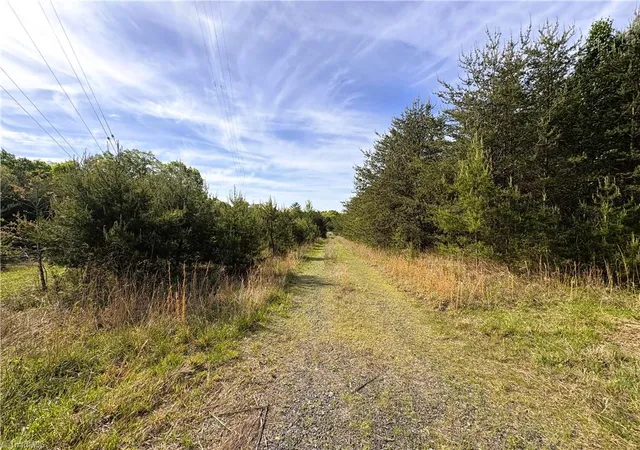 36th image of 521 Matrimony Rd, Eden, NC 27288 | MLS# 1216812