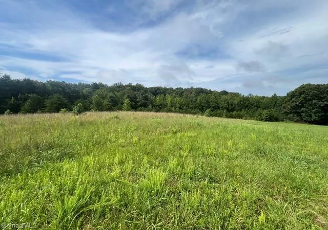 1st image of 0 Dorse Rd, Lewisville, NC 27023 | MLS# 1233048