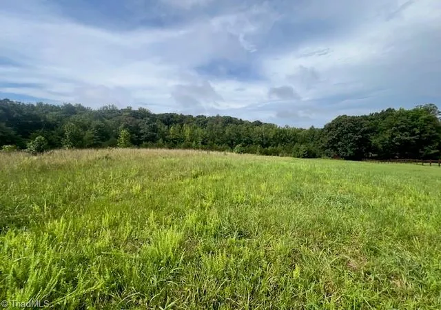 2nd image of 0 Dorse Rd, Lewisville, NC 27023 | MLS# 1233048