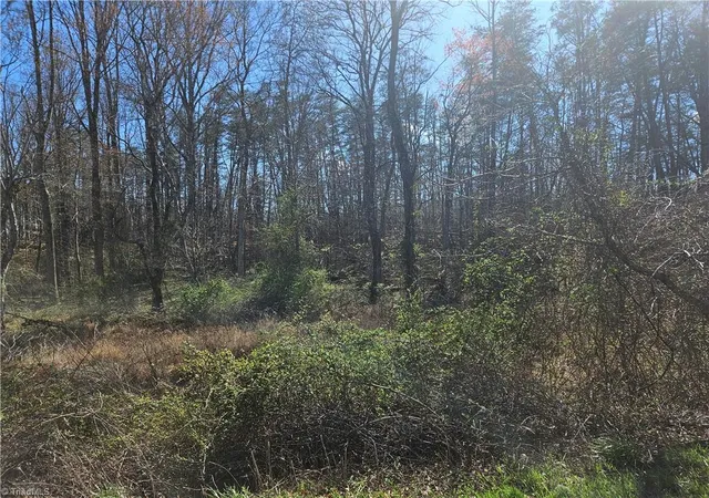 Homes for sale in Westfield, NC | 00 Locust Grove Rd #3, Westfield, NC 27030 | MLS# 1212105