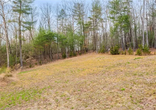 4th image of 1163 Mills Rd, Mount Airy, NC 27030 | MLS# 1214400