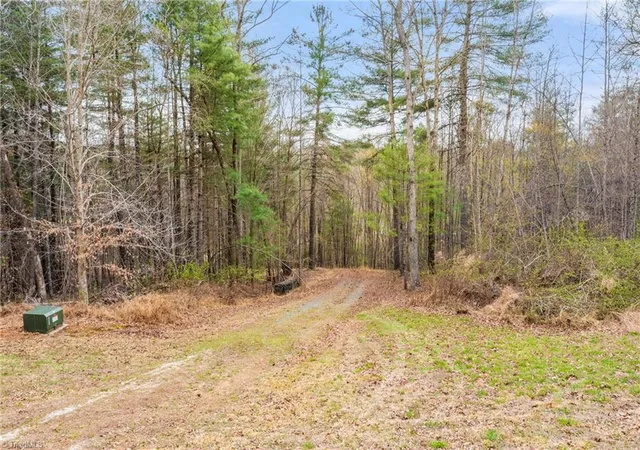 5th image of 1163 Mills Rd, Mount Airy, NC 27030 | MLS# 1214400