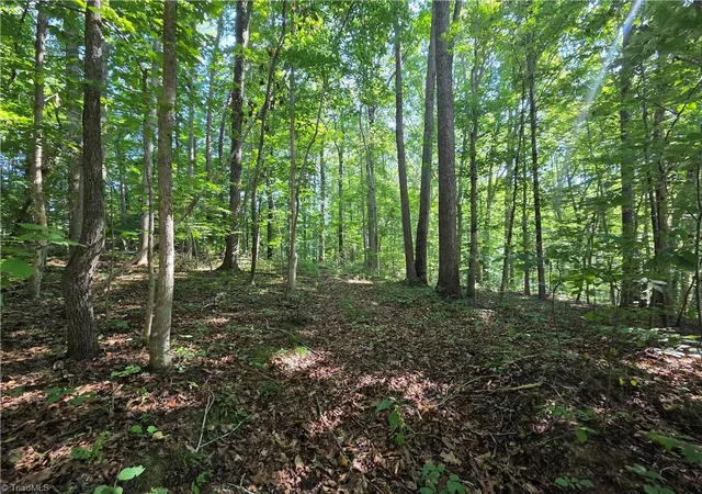 1st image of Lot 1 Pin Tail Dr, Reidsville, NC 27320 | MLS# 1230162