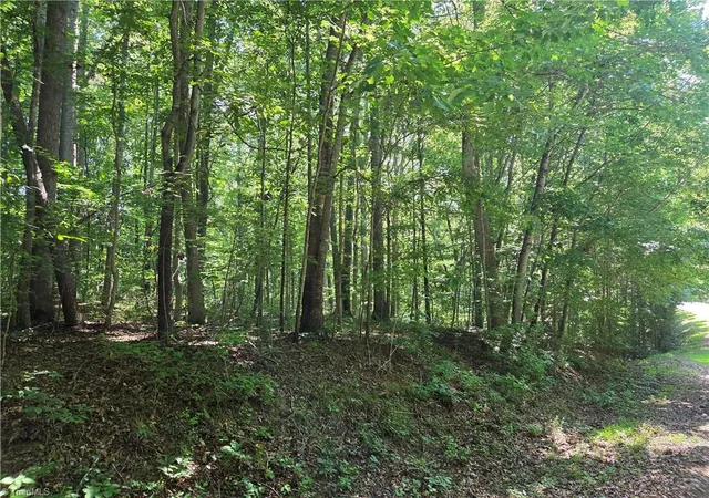 2nd image of Lot 1 Pin Tail Dr, Reidsville, NC 27320 | MLS# 1230162