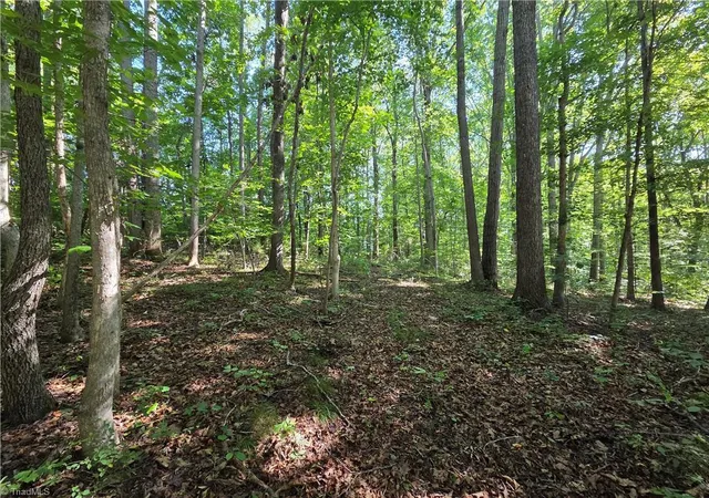 5th image of Lot 1 Pin Tail Dr, Reidsville, NC 27320 | MLS# 1230162