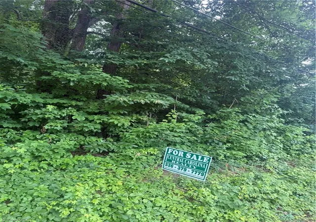 Photo 1 of Land for sale at 00 Martin Luther King Jr Dr, Asheboro, SC 29506 | MLS# 1227632 | Listing updated on 2026-08-07