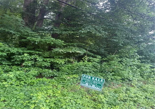 Photo 2 of Land for sale at 00 Martin Luther King Jr Dr, Asheboro, SC 29506 | MLS# 1227632 | Listing updated on 2026-08-07