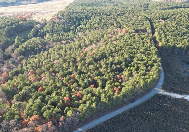3rd image of Lot 13 Woods Rd, Seagrove, NC 27341 | MLS# 1230196