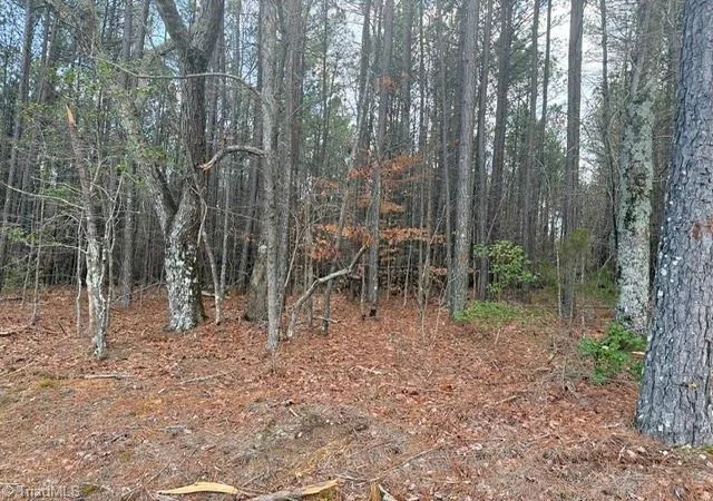4th image of Lot 13 Woods Rd, Seagrove, NC 27341 | MLS# 1230196
