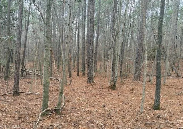 5th image of Lot 13 Woods Rd, Seagrove, NC 27341 | MLS# 1230196