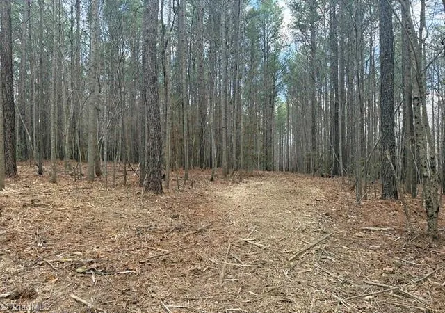 9th image of Lot 13 Woods Rd, Seagrove, NC 27341 | MLS# 1230196
