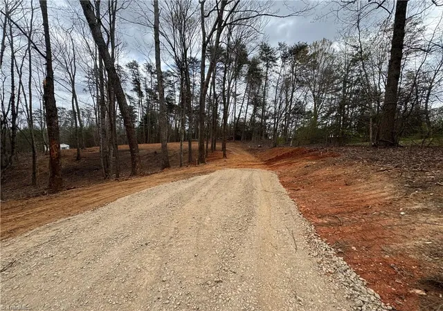 3rd image of 0 Creekside Way Rd, Pinnacle, NC 27043 | MLS# 1214207