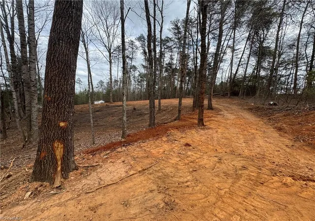 4th image of 0 Creekside Way Rd, Pinnacle, NC 27043 | MLS# 1214207