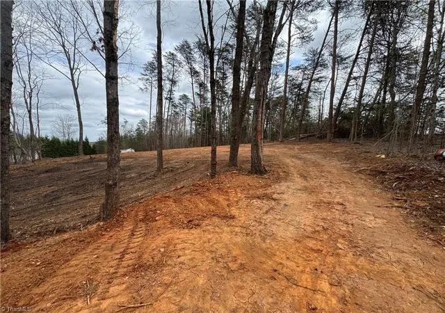 5th image of 0 Creekside Way Rd, Pinnacle, NC 27043 | MLS# 1214207