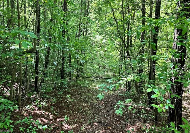Homes for sale in Wilkesboro, NC | 00e High Point Cvs, Wilkesboro, NC 28697 | MLS# 1227340