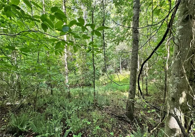 Homes for sale in Wilkesboro, NC | 00E High Point Cvs, Wilkesboro, NC 28697 | MLS# 1227340