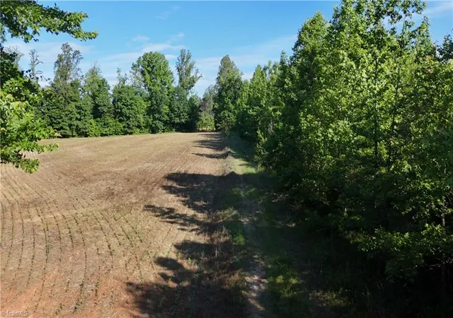 13th image of 0 Nubbin Ridge Rd, Reidsville, NC 27320 | MLS# 1222536