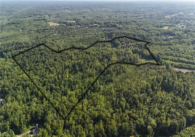 3rd image of 0 Nubbin Ridge Rd, Reidsville, NC 27320 | MLS# 1222536
