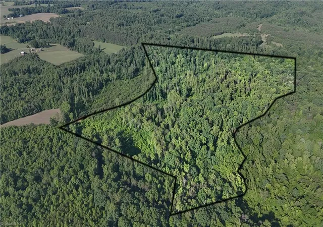 4th image of 0 Nubbin Ridge Rd, Reidsville, NC 27320 | MLS# 1222536