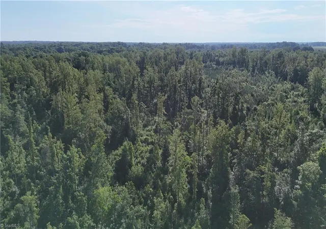 5th image of 0 Nubbin Ridge Rd, Reidsville, NC 27320 | MLS# 1222536