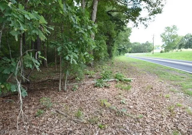 14th image of 00 Garner Rd, Snow Camp, NC 27349 | MLS# 1230572