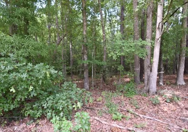 2nd image of 00 Garner Rd, Snow Camp, NC 27349 | MLS# 1230572