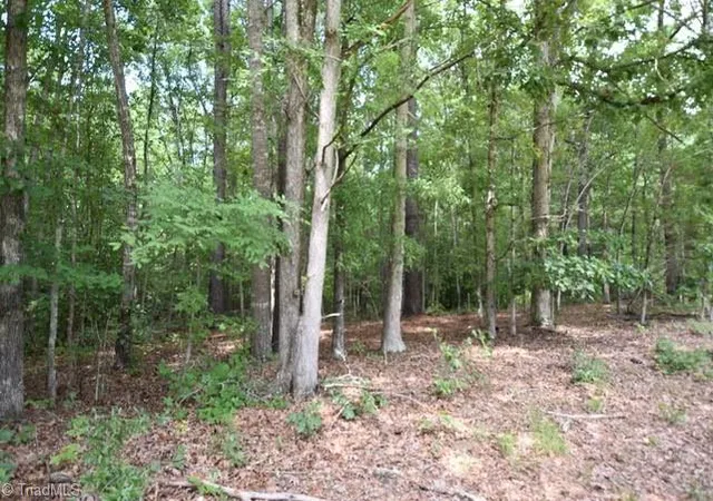 3rd image of 00 Garner Rd, Snow Camp, NC 27349 | MLS# 1230572