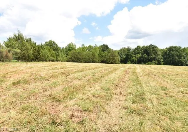 5th image of 00 Garner Rd, Snow Camp, NC 27349 | MLS# 1230572