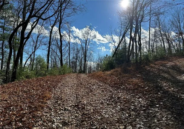 2nd image of Tbd2 Scout Rd, Lenoir, NC 28645 | MLS# 1203281