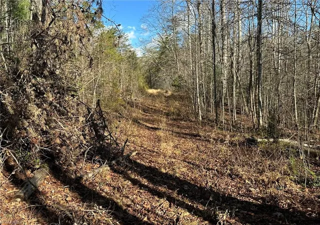 38th image of Tbd2 Scout Rd, Lenoir, NC 28645 | MLS# 1203281