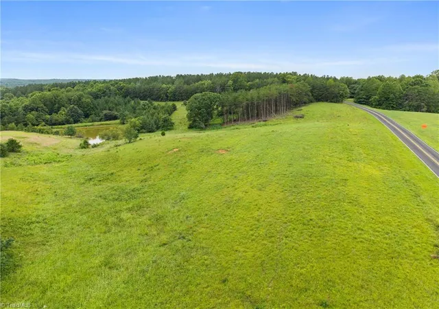 10th image of 0 Hauser Rd, Pinnacle, NC 27043 | MLS# 1228940