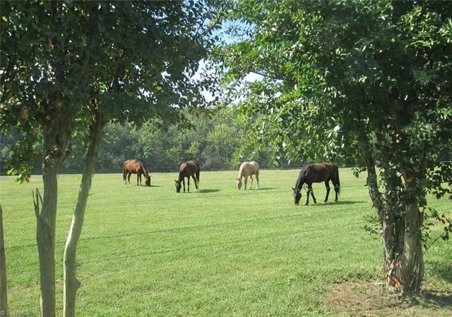 5th image of 3421 Suits Rd, Gibsonville, NC 27249 | MLS# 1231465
