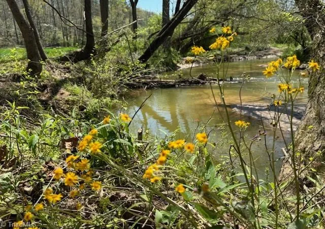 Photo 2 of Land for sale at Tbd German Farm Rd, Boomer, NC 28606 | MLS# 1140831 | Listing updated on 2026-06-25