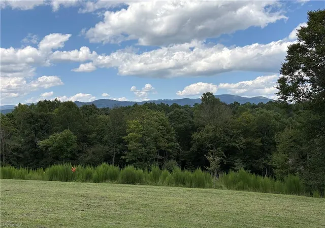 Photo 2 of Single family home for sale at 910 Hanks St, Traphill, NC 28685 | MLS# 1233284 | Listing updated on 2026-08-27