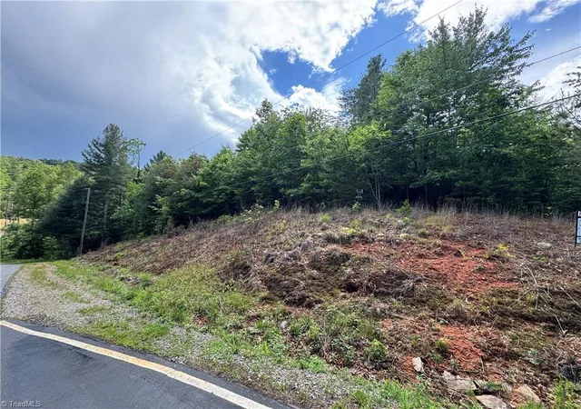 Homes for sale in Mc Grady, NC | Lot #69 Turkey Trl, Mc Grady, NC 28649 | MLS# 1222322