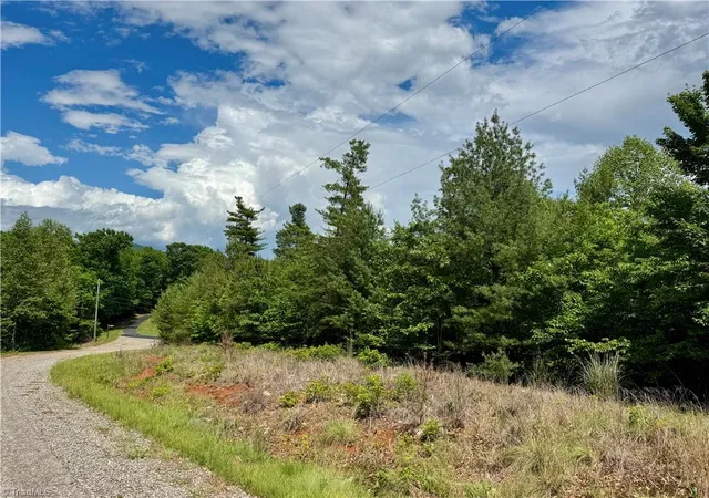 Homes for sale in Mc Grady, NC | Lot #69 Turkey Trl, Mc Grady, NC 28649 | MLS# 1222322