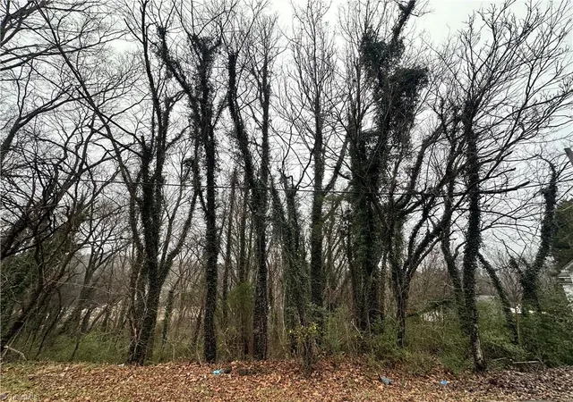 1st image of 00 Short Morgan St, Eden, NC 27288 | MLS# 1227072