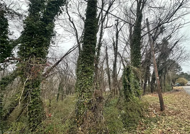 2nd image of 00 Short Morgan St, Eden, NC 27288 | MLS# 1227072